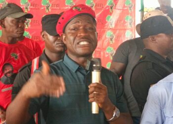 EFFL leader Emmanuel Gonquoi says Unity Party alliance partners have been sidelined by the Boakai government