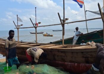 Liberian artisanal fishermen say reduced fishing license fees have increased canoe registrations and fish catches