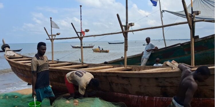 Liberian artisanal fishermen say reduced fishing license fees have increased canoe registrations and fish catches