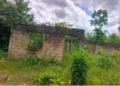 The unfinished school building for Gbabkeima and Darkpansu stands unroofed and overgrown in Bong County.