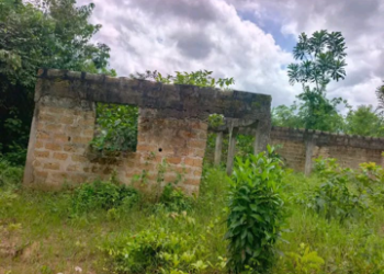 The unfinished school building for Gbabkeima and Darkpansu stands unroofed and overgrown in Bong County.