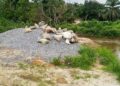 Site of the stalled CMC Jor River bridge project in Gbarnga, Bong County