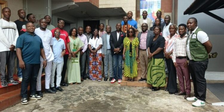 Integrity Watch, EU Push Stronger Corporate Accountability in Liberia’s Forestry, Extractive Sectors