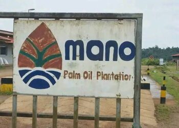 Isaac N. Quiquoi, the plaintiff in the Mano Palm Oil Plantation accident case
