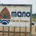 Isaac N. Quiquoi, the plaintiff in the Mano Palm Oil Plantation accident case